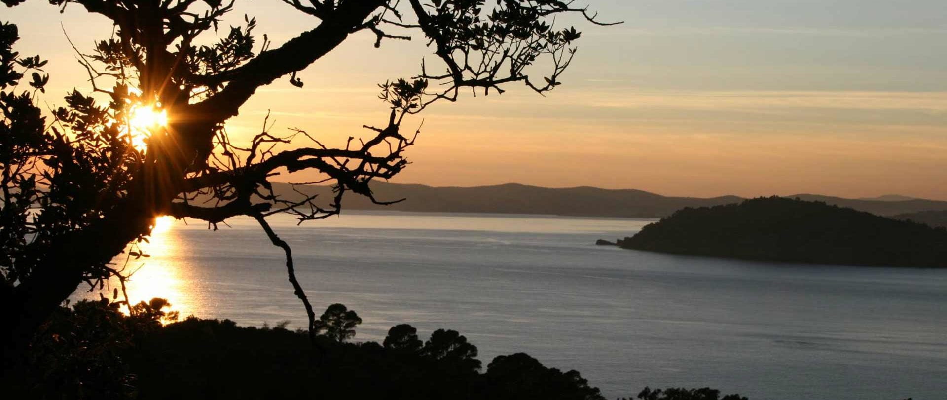 paysage-lavandou